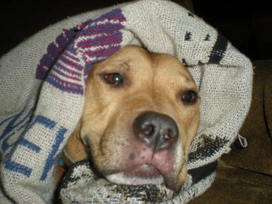 Photo of Lacey B.