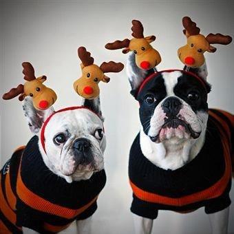 photo of Michaelyn J.