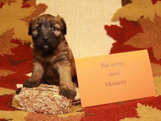 photo of Patricia C.