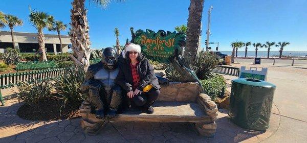 Photo of Kristy Q.