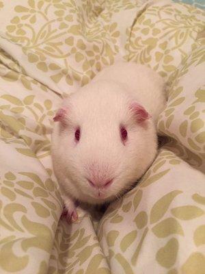 Photo of Karma Y.