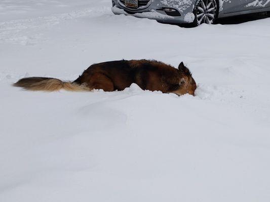 Photo of Courtney S.