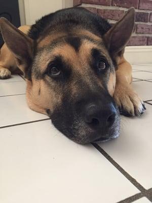 photo of Mitchell P.