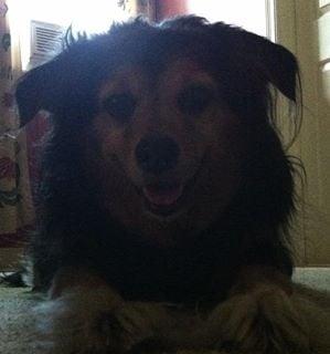 Photo of Cindy M.