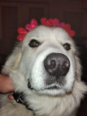 photo of Angelina A.