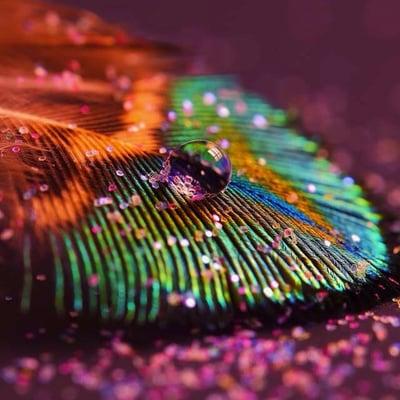 photo of Christine W.