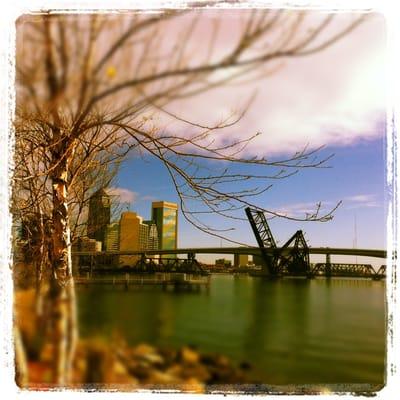 photo of Courtney L.