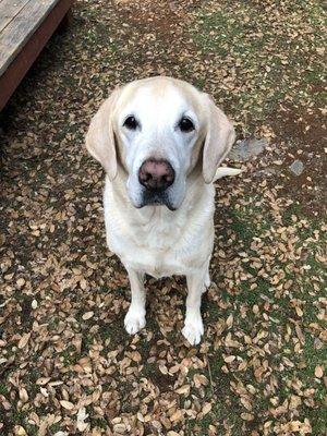 photo of Stephanie B.