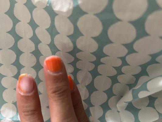 photo of Nichelle A.