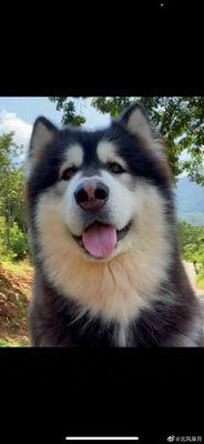 photo of Charlene Y.