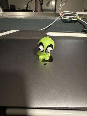 photo of Karolina M.