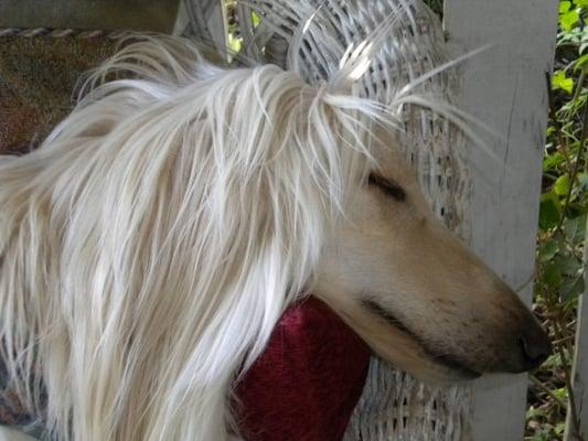 photo of Christine W.