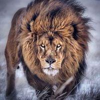 Photo of Raj S.