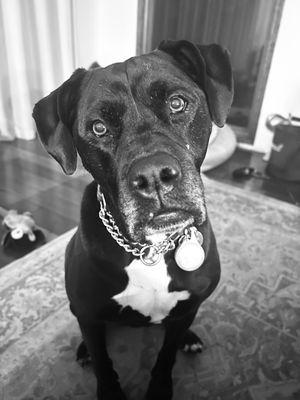Photo of Angel G.