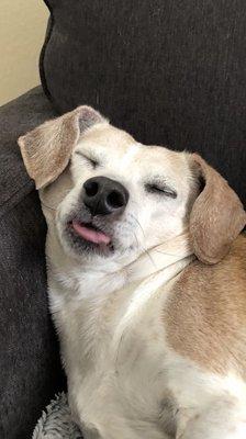 photo of Carolina V.