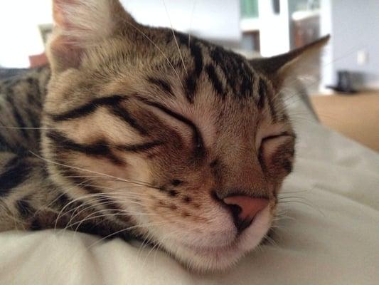 photo of NaturalSkincareLover S.