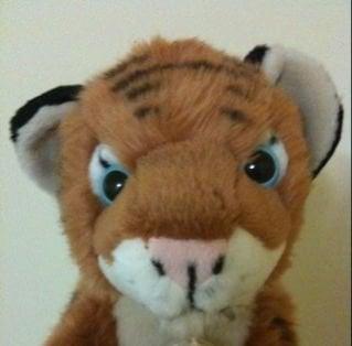 Photo of Puchu J.