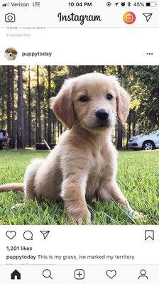 photo of Jennifer D.