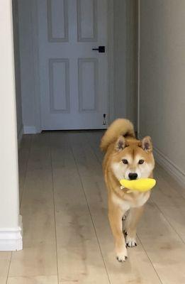 Photo of Kami H.