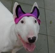 Photo of Melissa S.