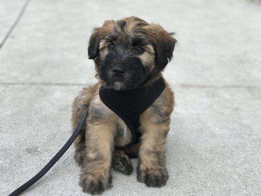 photo of Don Joseph J.