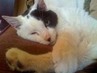 photo of Christian T.