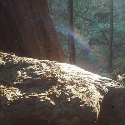 photo of Felicity R.