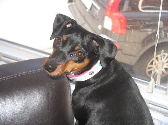 Photo of Jill A.