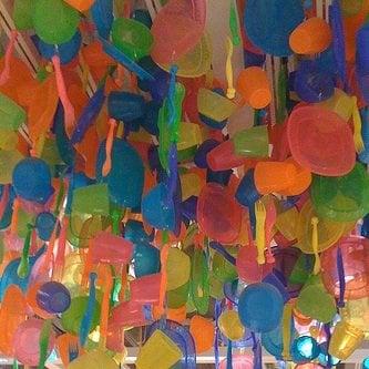 photo of Danielle S.