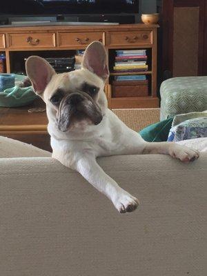 photo of Florida Salsa E.