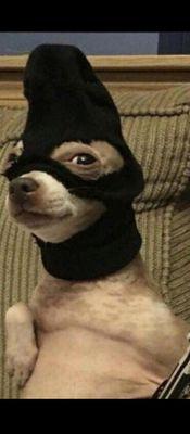 photo of Elizabeth L.