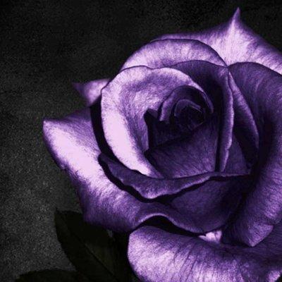 photo of Michelle L.