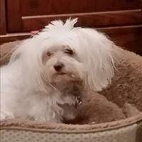 Photo of Jolene B.