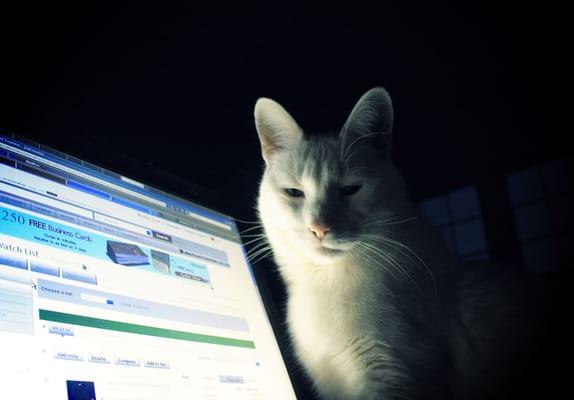 photo of Egorovna B.