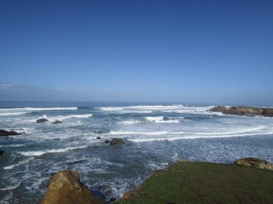 photo of Kathleen D.