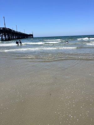 photo of Shawneece R.