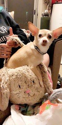Photo of Michi V.