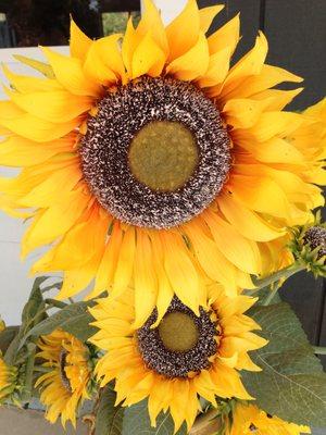 photo of Caroline N.