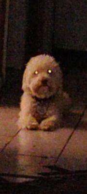 photo of Christina R.