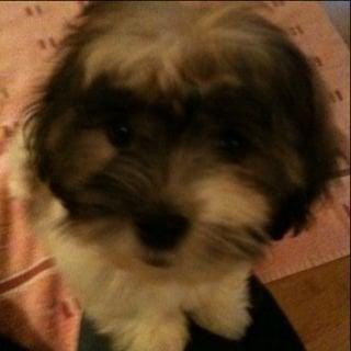 Photo of Yerene C.