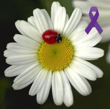 photo of Jennifer B.