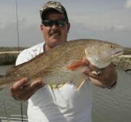 Photo of David B.