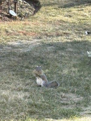 Photo of Alexandra L.