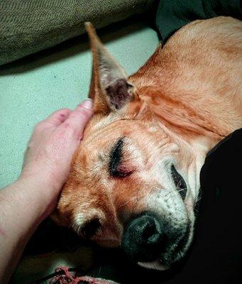 Photo of Jennifer J.