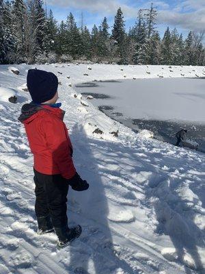 photo of Patricia L.