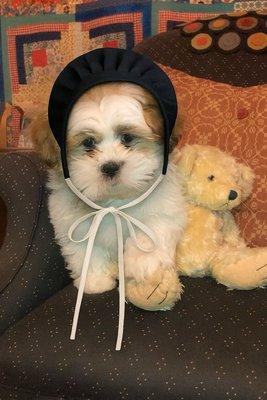 photo of Jennifer B.