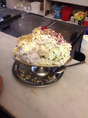 photo of Patrizia V.