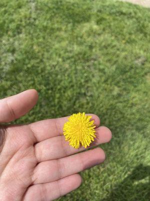 photo of Stephany S.