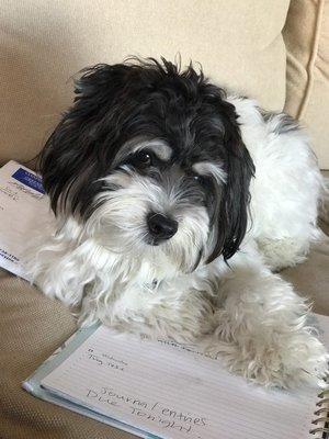 photo of Heather Dew I.