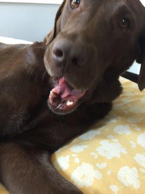 Photo of Jennifer W.